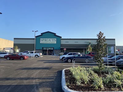 Sprouts #649
