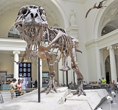 Chicago Beer Fest 2025