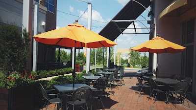 Mellow Mushroom #139