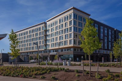 Silver Moon Holistic