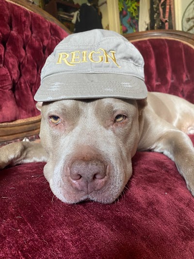 Reign Ladies & Gents Night