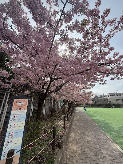 本町さくら公園