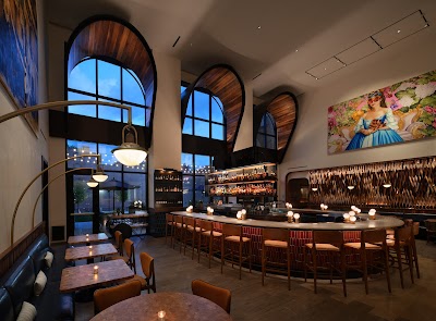 Idol Wolf At 21c St Louis