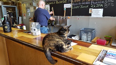 Wandering Star Brewing Co