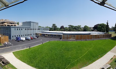 Tinbergen Building, Department Of Zoology