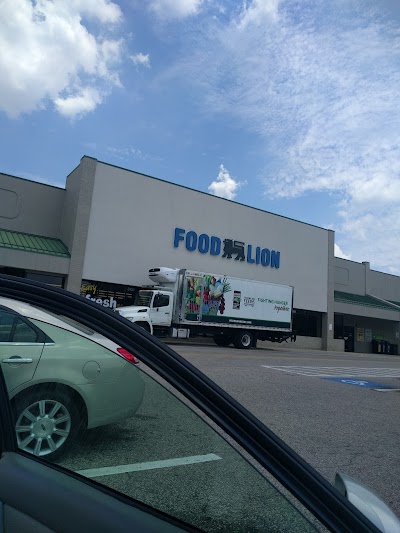Food Lion #1491