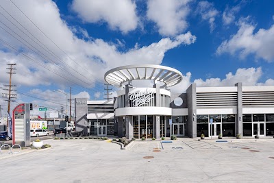 Jungle Boys Los Angeles