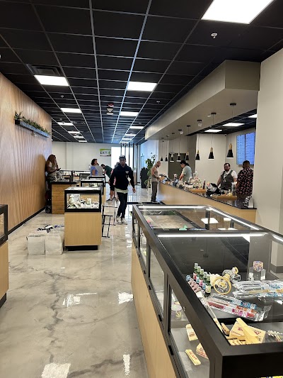 Zaza Green - Springfield