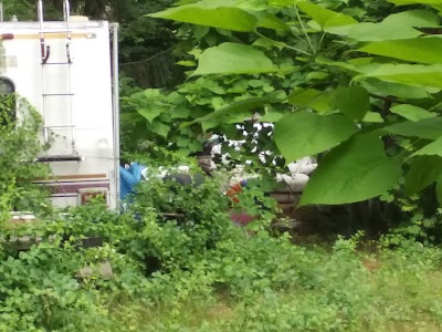 Bill's Landscaping Llc