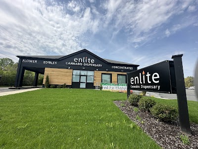 Enlite - Springfield