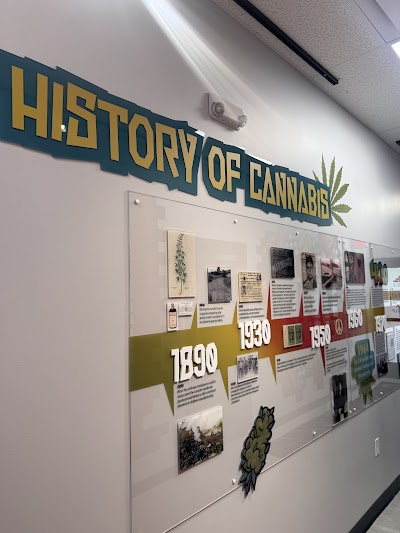 6 Bricks - Springfield