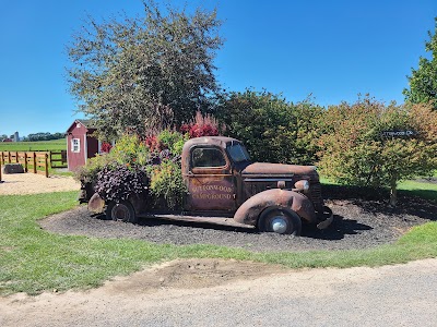 Buttonwood Campground