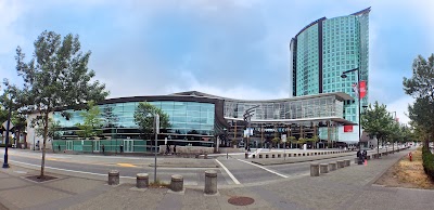 City Centre Stores Ltd