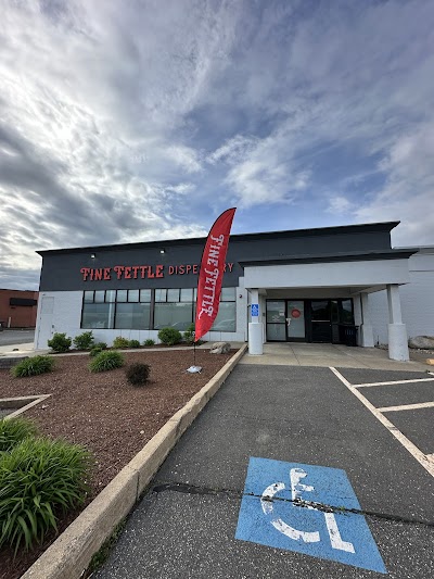 Fine Fettle - West Springfield