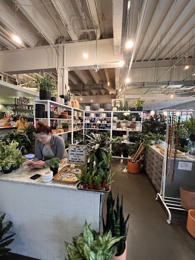 Plant Magic Bottle Shop