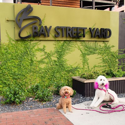 Bay Street Yard