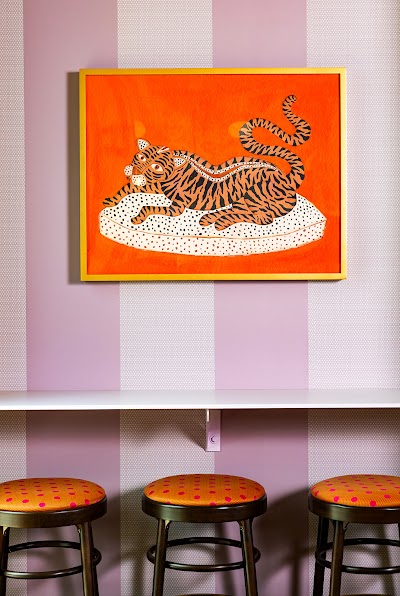 Jaguar Bolera - Raleigh