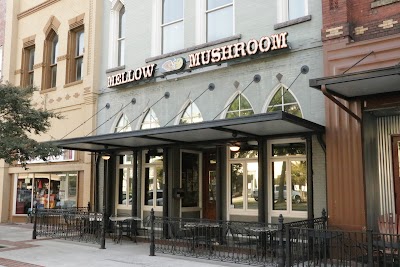 Mellow Mushroom - Rome