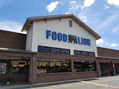 Food Lion #916