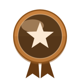 Bronze Medal
