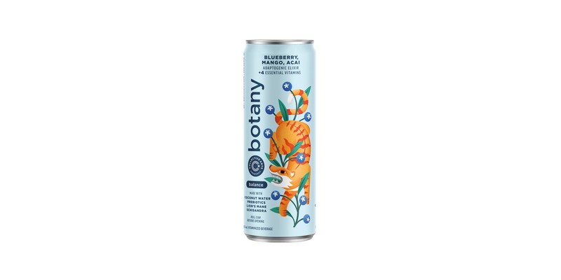 Collective Arts Botany Balance Adaptogenic Elixir — Blueberry, Mango & Acai - 0 calories, 0.0% ABV