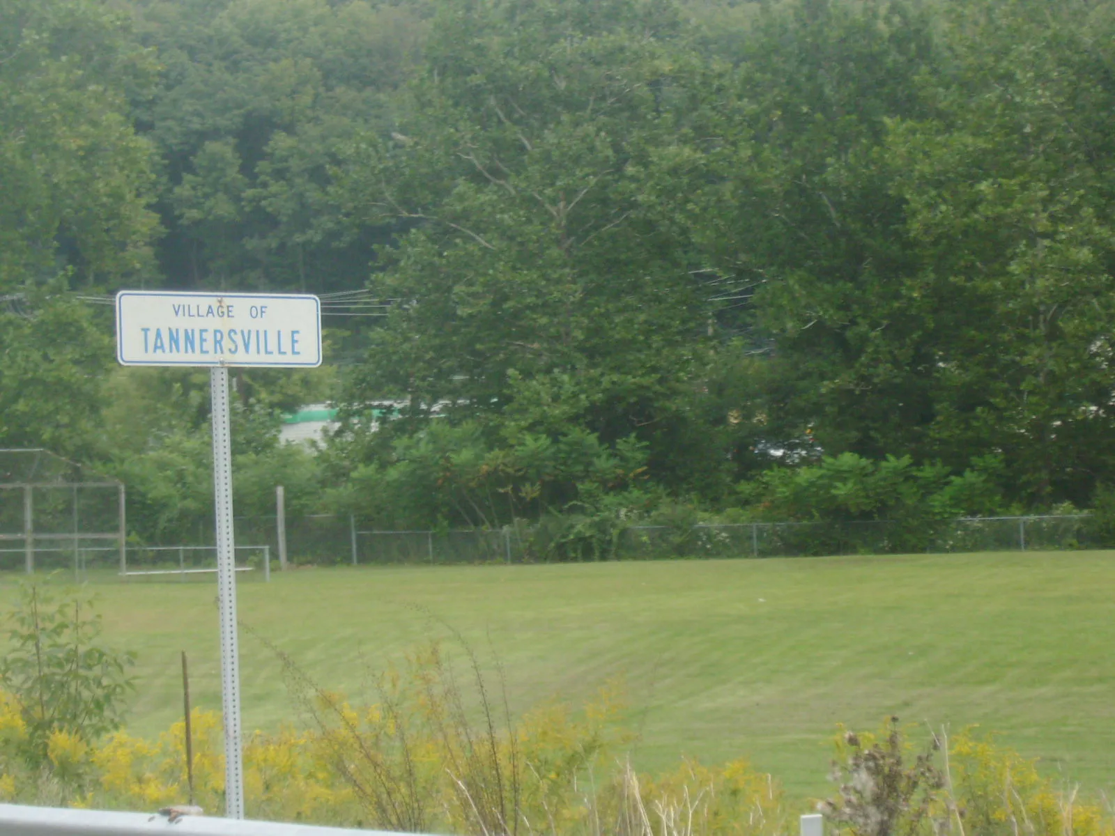Tannersville