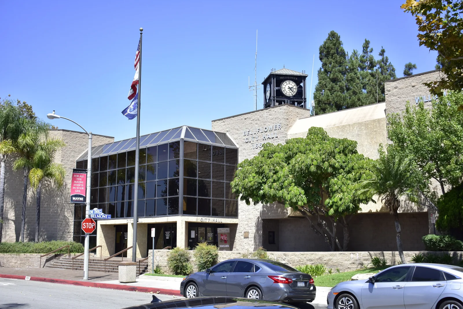 Bellflower