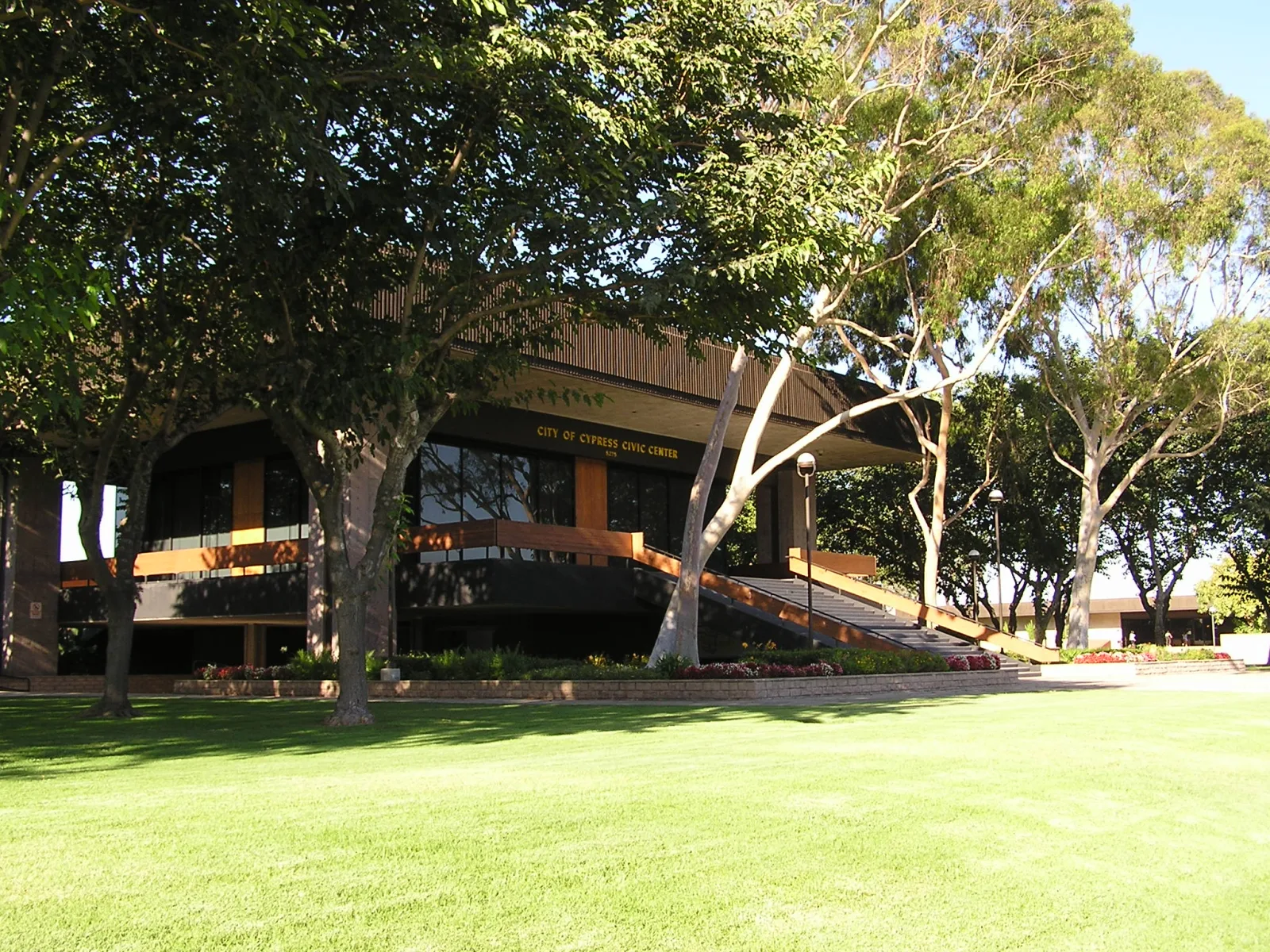 Cypress