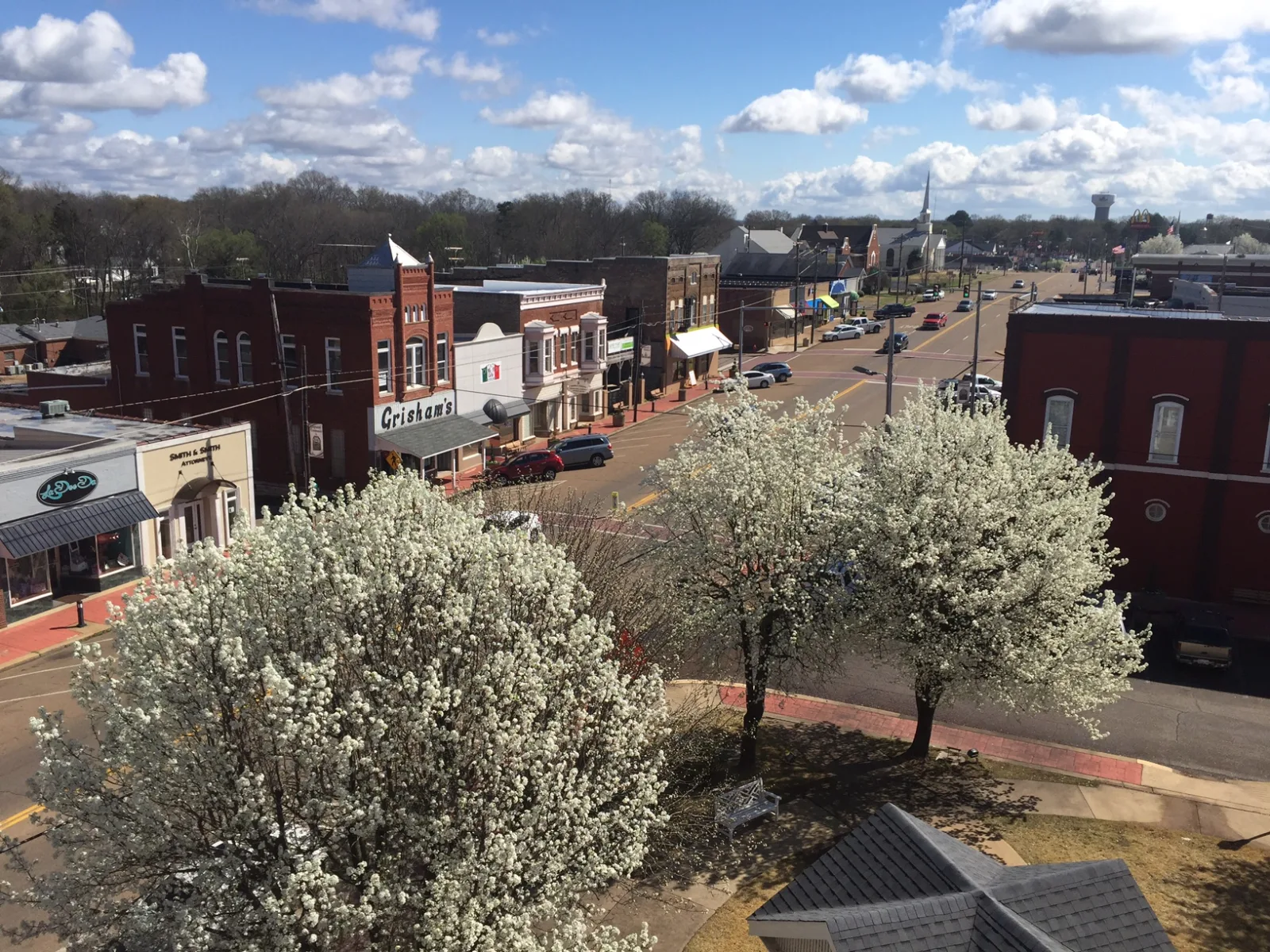 Savannah