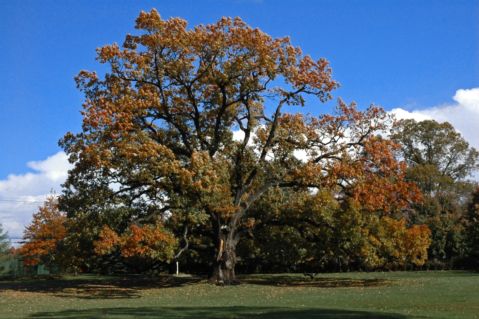 Florham Park