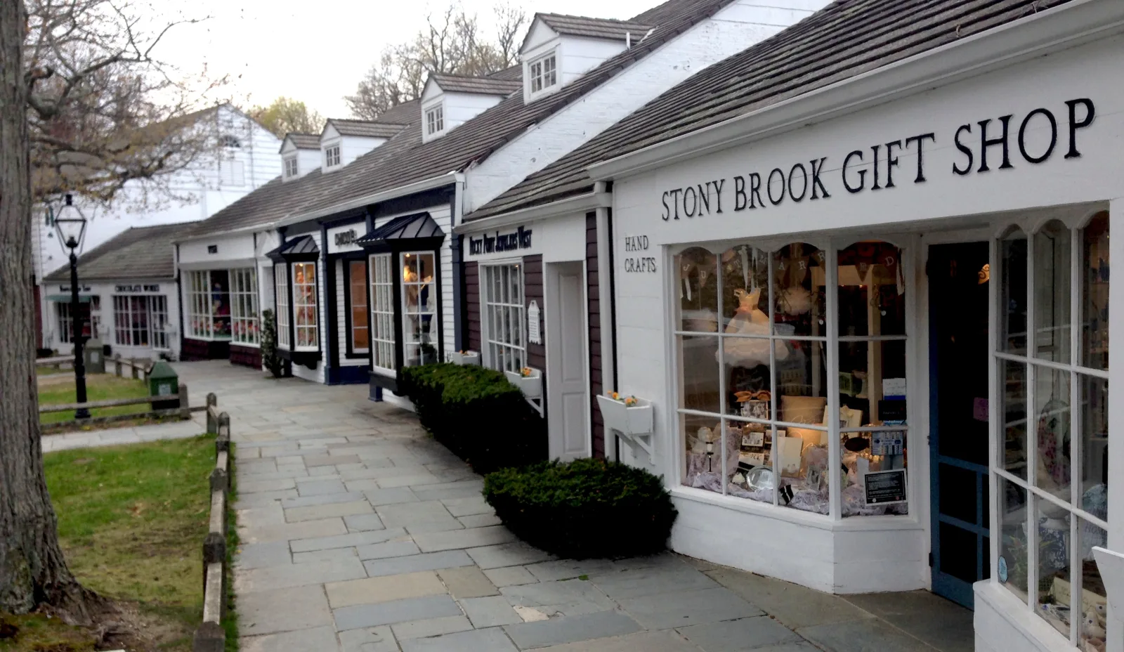 Stony Brook