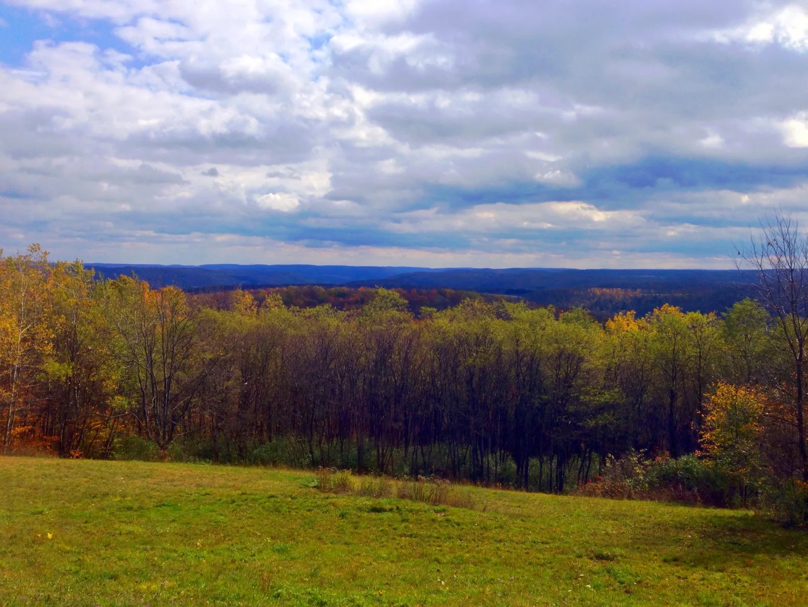 Wellsville