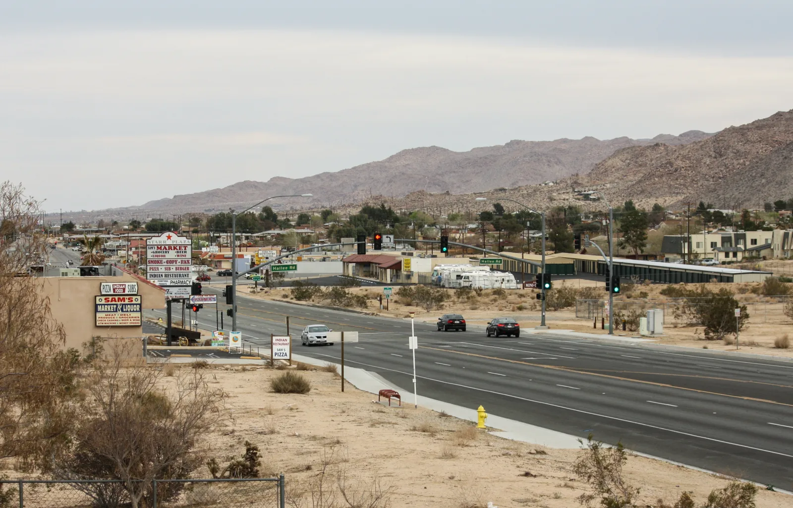 Joshua Tree