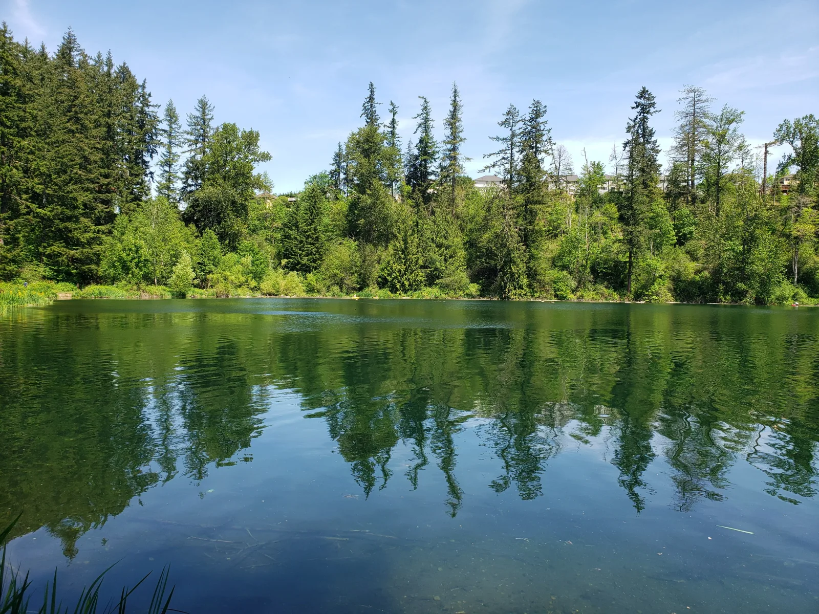 Maple Valley