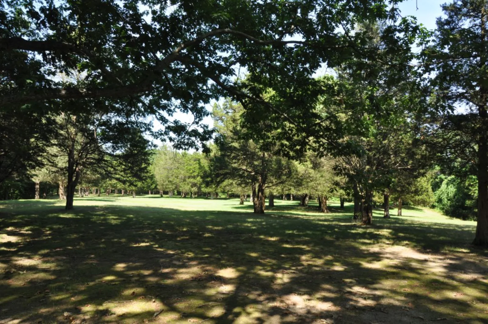 Montville
