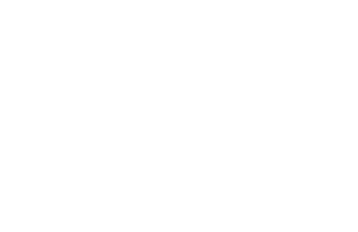 Hairless Dog Brewing Co.