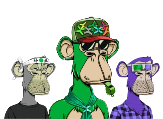 Not Bored