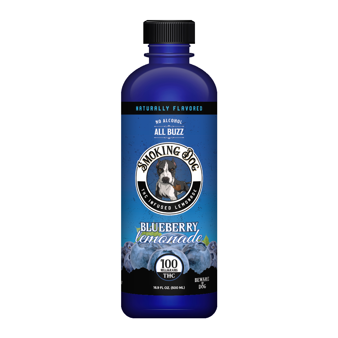 Blueberry Lemonade