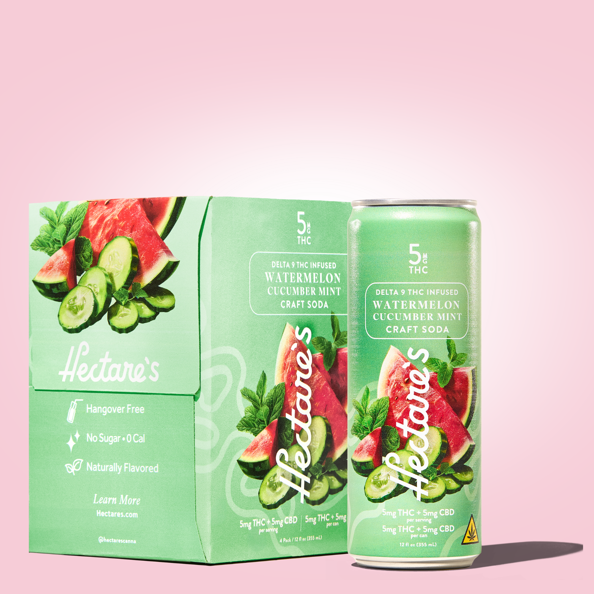 Craft Soda - Watermelon Cucumber Mint