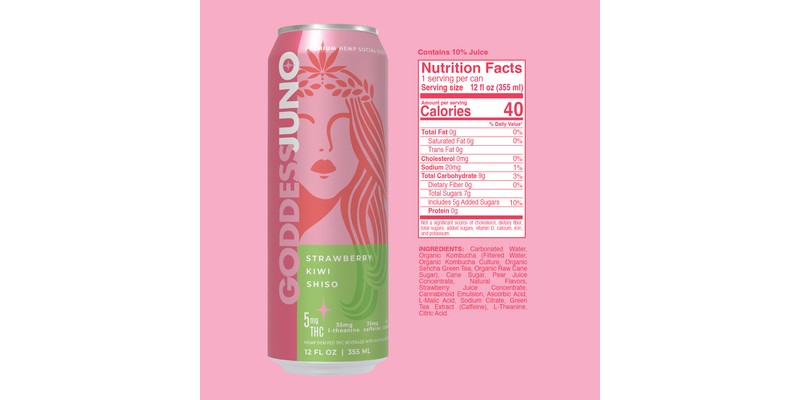 Strawberry Kiwi Shiso Social Elixir