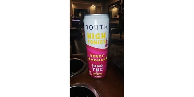 Berry Lemonade Tonic