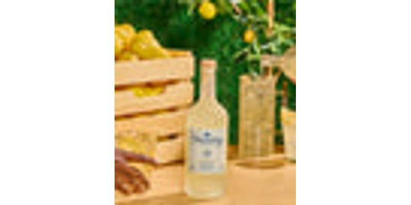 Limited Edition Lemonade - Low Dose